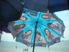 Filename=PARASOL.JPG
Filesize=492KB
Dimensions=2048x1536
Date added=May 06, 2009 PARASOL.JPG