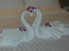 Filename=marriottcygne.JPG
Filesize=136KB
Dimensions=1024x768
Date added=Jan 13, 2008 marriottcygne.JPG